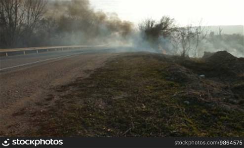 Forest fire on the roadside