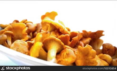 Fresh mushrooms, chanterelles, are on a plate that is being rotated