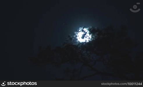 Full moon moves into the night sky