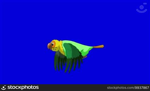 Green Parrot Flies. Animal on Blue Screen. Looped motion graphic.