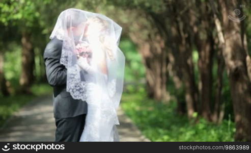 Groom kisses the bride, having covered under a veil, on a park alley