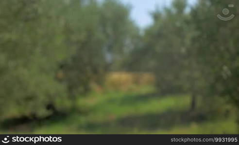 Hand holding handmade pasteboard house against of green trees