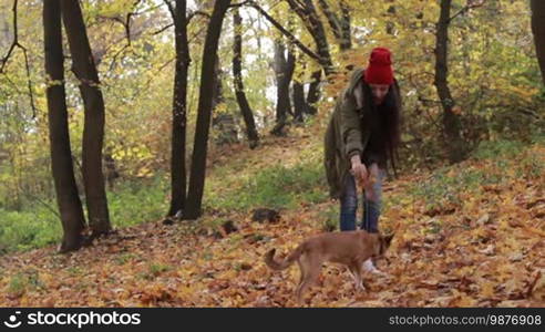 Happy young woman playing with her adorable pooch dog in autumn park. Hipster girl with her puppy having fun, playing with yellow foliage and spending great time together in public park during Indian summer. Slow motion.