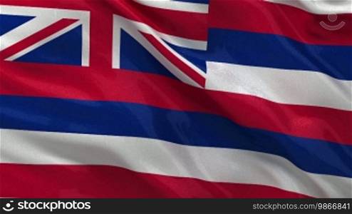 Hawaii state flag endless loop