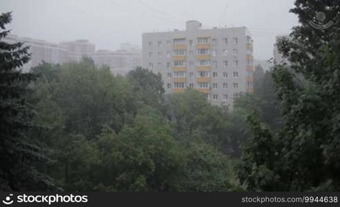 Heavy rain and trees.