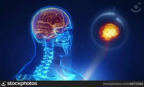 Human brain technology interface