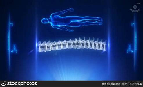 Human spine blue projection in loop