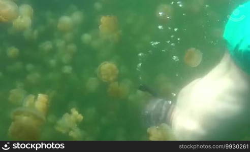 Jellyfish Lake, Palau Island, Micronesia, Pacific Ocean. Leisure, recreation, holiday, vacations, water sports. Man swimming underwater, free diving, snorkeling in tropical paradise, travel to atoll