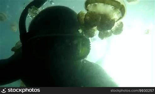 Jellyfish Lake, Palau Island, Micronesia, Pacific Ocean. Summer fun, recreation, holidays, vacation, water sport. Man swimming underwater, apnea free diving, snorkeling, holding GoPro video camera
