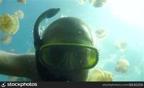 Jellyfish Lake, Palau Island, Micronesia, Pacific Ocean. Summer fun, recreation, holidays, vacation, water sport. Man swimming underwater, apnoea free diving, snorkeling, holding GoPro video camera