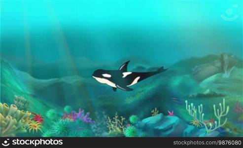Killer Whale Underwater. Handmade animation, motion graphic.