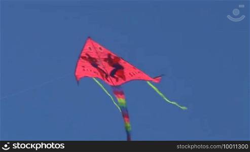 Kite flying in the sky