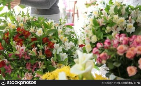 Large array of flowers in florist shop, in the background a woman making a bouquet