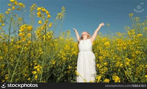 Little blond girl walking through the yellow blossoming field, arms outstretched