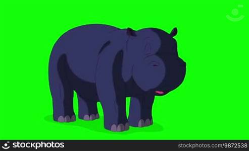 Little Blue Hippo Wakes Up and Opens His Mouth. Animated Motion Graphic Isolated on Green Screen