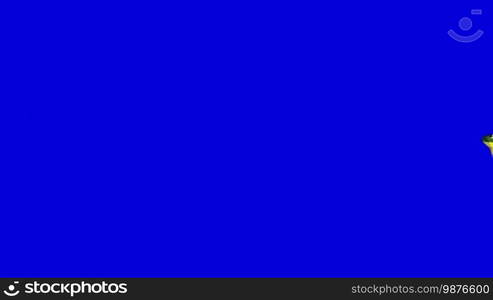 Little Frog Jumps. Animated footage, animal isolated on a blue screen chroma key