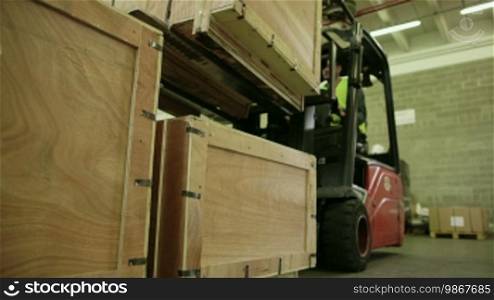 Logistics business and shipping facility with manual worker operating forklift to move boxes and goods, man working in warehouse, worker in industry. 11 of 19