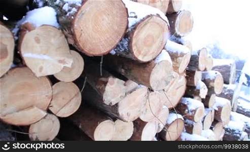 Logs for the fireplace at the fence in the snow. Lumber in factory yard in winter background during snow. Closeup angle view.