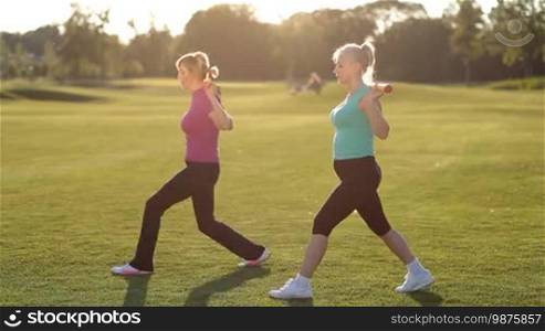 Lovely senior fitness women working out on park lawn, doing forward lunges with weight body bar, exercise for hips and buttocks. Side view. Smiling sporty adult females in activewear with fitbar doing split squats in glow of amazing sunset.