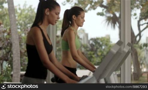 Man and woman working out and running on treadmill in fitness club