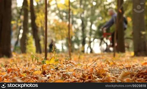 Man riding a bicycle in an autumn park