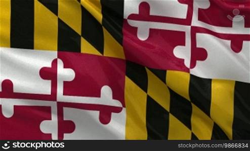Maryland state flag endless loop
