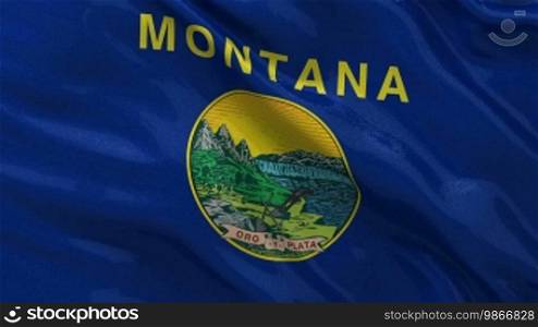 Montana state flag endless loop