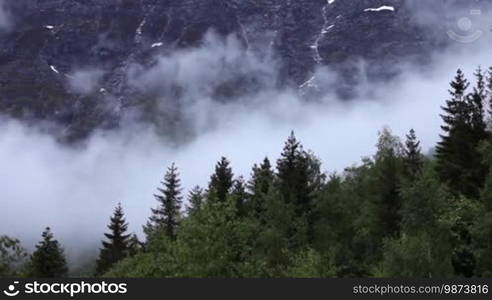 Mountain forest Fog Norway