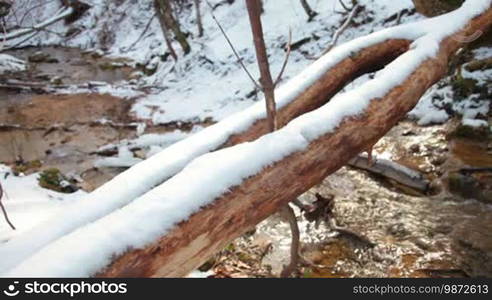 Mountain stream in the woods in winter