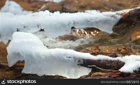 Mountain stream in the woods in winter