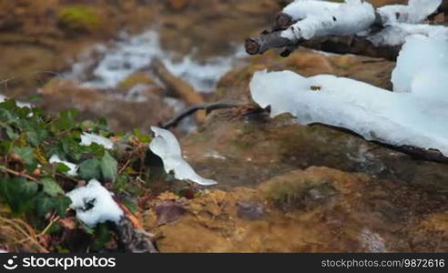 Mountain stream in the woods in winter