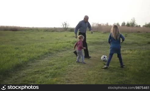 Multi-generation family having fun outdoors in countryside. Handsome grandfather teaching grandchildren playing football on green lawn. Cute toddler boy and his sister playing soccer with grandfather. Slow motion. Steadicam stabilized shot.