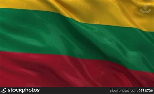 National flag of Lithuania as an endless loop