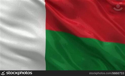 National flag of Madagascar as an endless loop