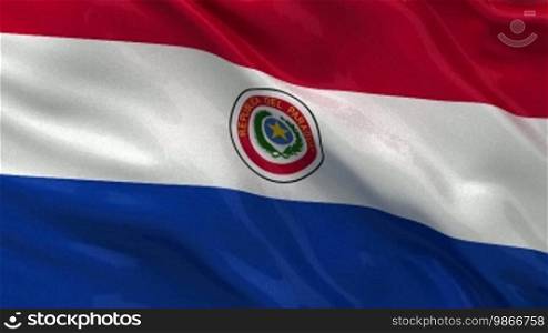 National flag of Paraguay as an endless loop