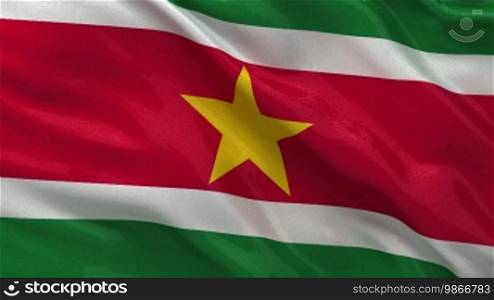 National flag of Suriname in the wind. Endless loop.