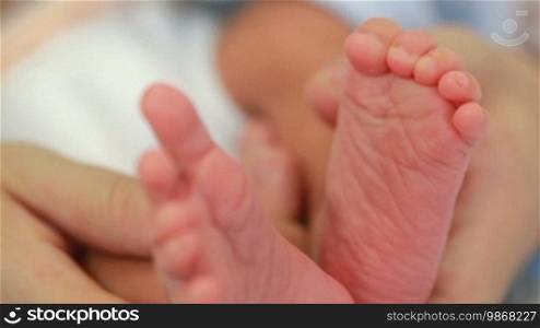 Newborn baby feet.