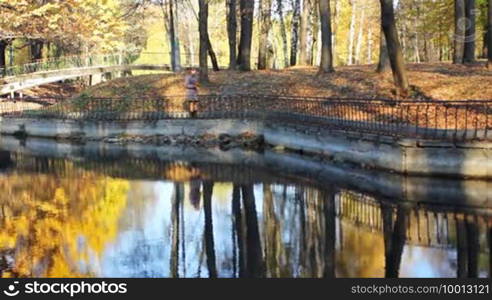 Nice woman with yellow leaves in her hand walks along the shore of a lake at a beautiful autumn city park