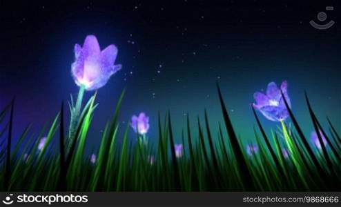 Night flowers loop