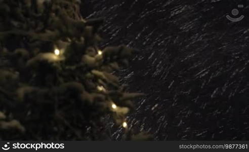 Night heavy snowstorm with strong wind and branch of fir tree with Christmas lights in foreground. Shot with changing focus