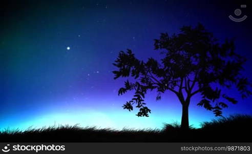 Night sky and tree loop