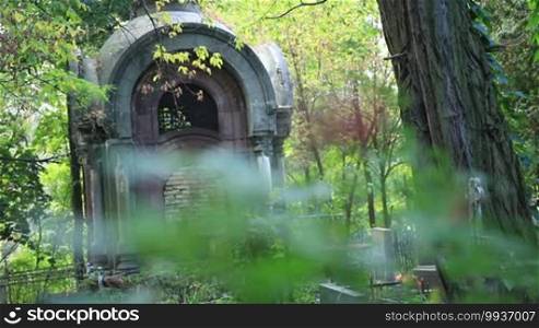 Old aged grave crypt in ancient European cemetery. Focus ends on dogrose