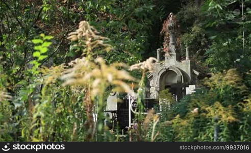 Old ancient moss and red vine covered stone crypt in graveyard in Europe