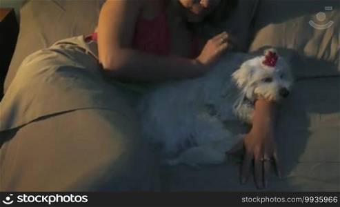 People and pets. Young woman lying in bed at night, relaxing and stroking her small dog. Medium shot, high angle