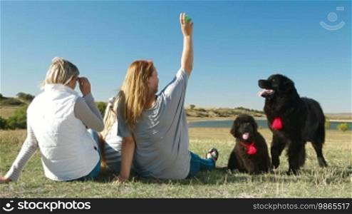 People with Newfoundland dogs enjoying a sunny day in nature