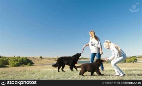 People with Newfoundland dogs enjoying a sunny day in nature