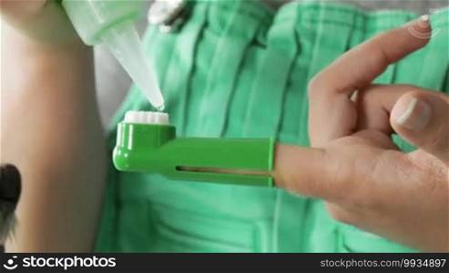 Pets, animals and dental hygiene. Woman holding small dog and rubbing its teeth, removing tartar and plaque with special toothbrush and toothpaste. Close-up shot