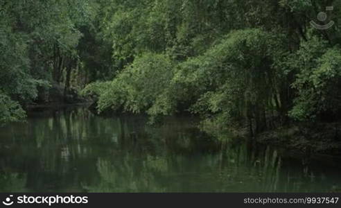 Pond with empty boat and trees around it. Benches to relax and enjoy the view near the banyan tree. Trang An, Vietnam