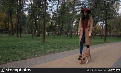 Positive brunette woman in trendy outfit stroking her cute puppy while taking a stroll together in autumn park. Fashionable female walking the dog in city park and playing with puppy in Indian summer. Stabilized shot. Slow motion.