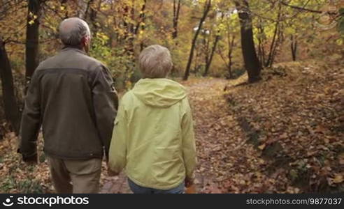 Positive senior couple embracing while walking through autumn park. Romantic elderly couple in love enjoying leisure and relaxing on fresh air in colorful autumn park during Indian summer. Steadicam stabilized shot. Slow motion. Back view.